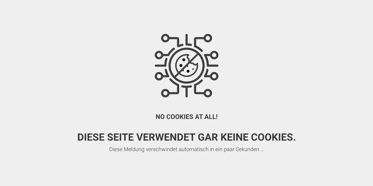 Raw-Velvet-Design-Projekt-Digitale-Befreiung-Webseite-No-Cookies-at-All-II